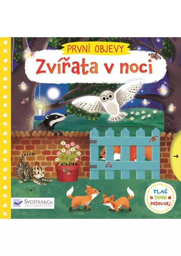 autor neuvedený - Zvířata v noci - První objevy