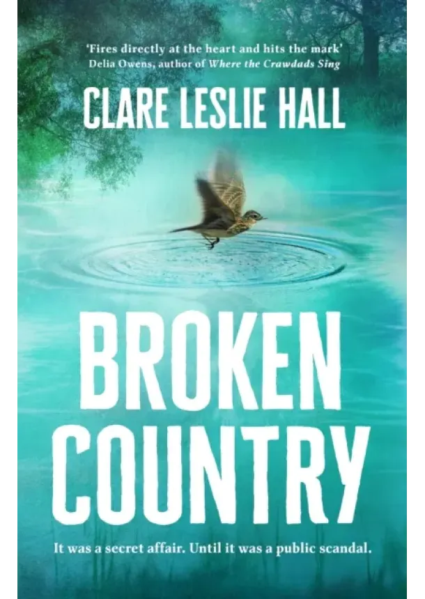 Clare Leslie Hall - Broken Country