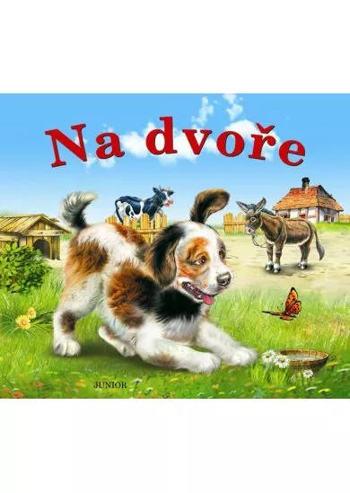 Na dvoře
