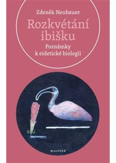 Rozkvétání ibišku - Poznámky k eidetické biologii