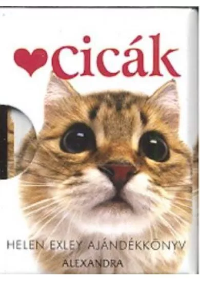 CICÁK