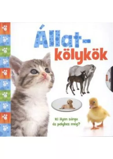 Állatkölykök