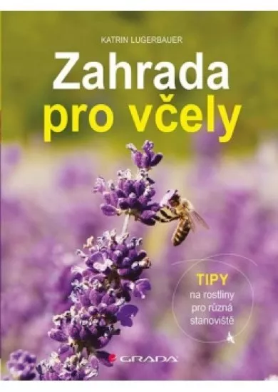 Zahrada pro včely - Tipy na rostliny pro