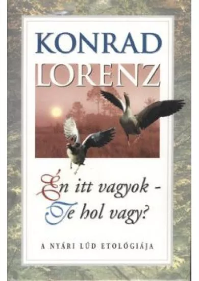 ÉN ITT VAGYOK-TE HOL VAGY?