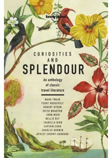 Curiosities and Splendour 1