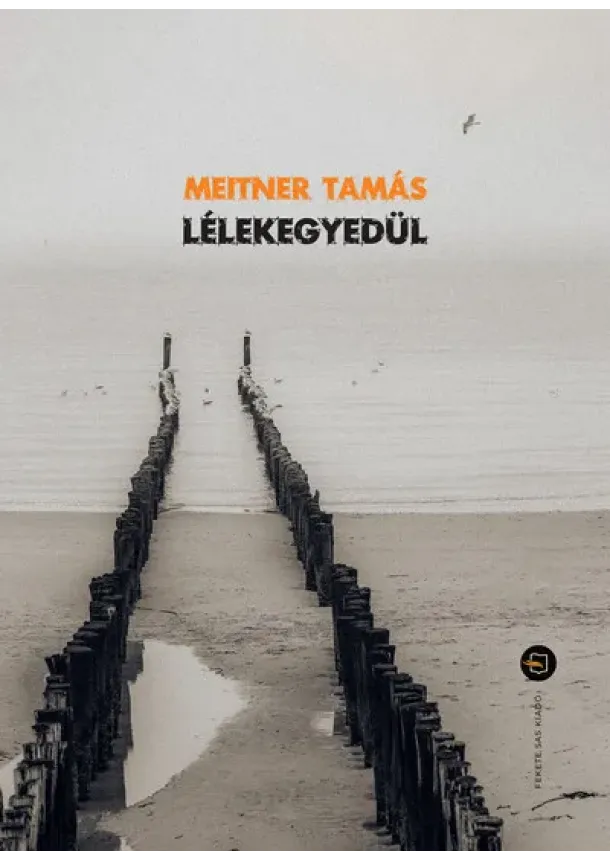 Meitner Tamás - Lélekegyedül