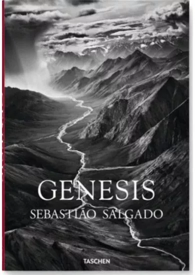 Salgado, Genesis
