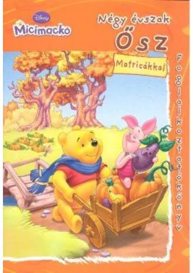 DISNEY MICIMACKÓ FOGLALKOZTATÓKÖNYV NÉGY ÉVSZAK