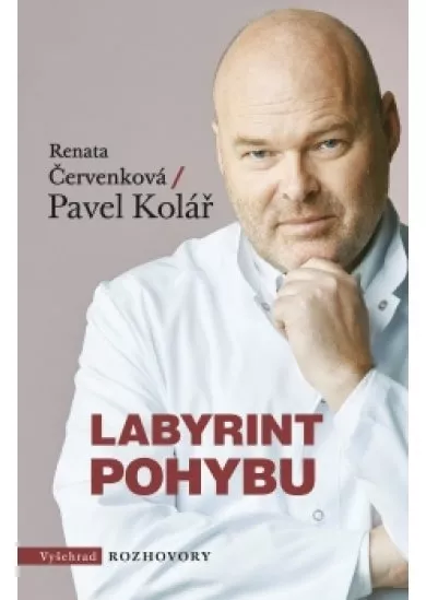 Labyrint pohybu