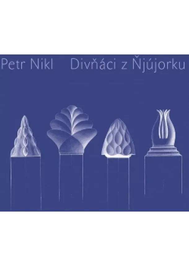 Petr Nikl - Divňáci z Ňjújorku