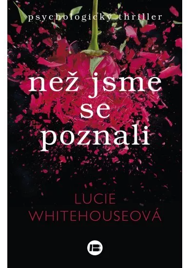 Než jsme se poznali