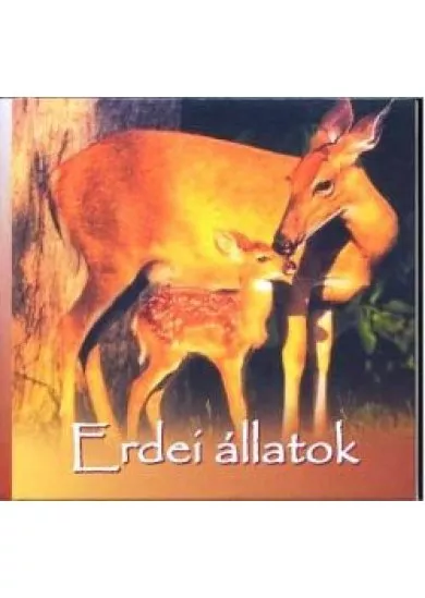 ERDEI ÁLLATOK