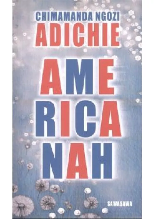 Chimamanda Ngozi Adichie - Americanah