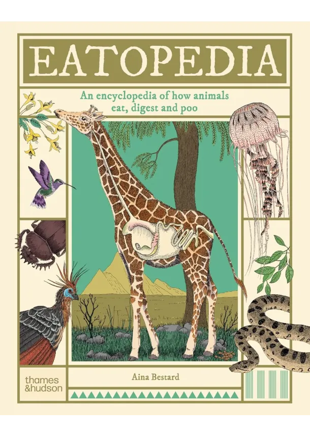 Aina Bestard - Eatopedia