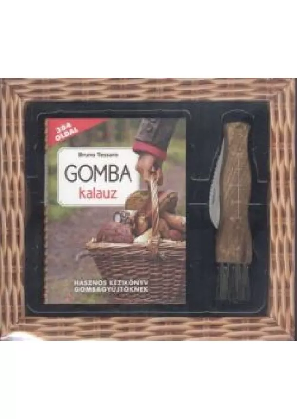 BRUNO TESSARO - GOMBA KALAUZ