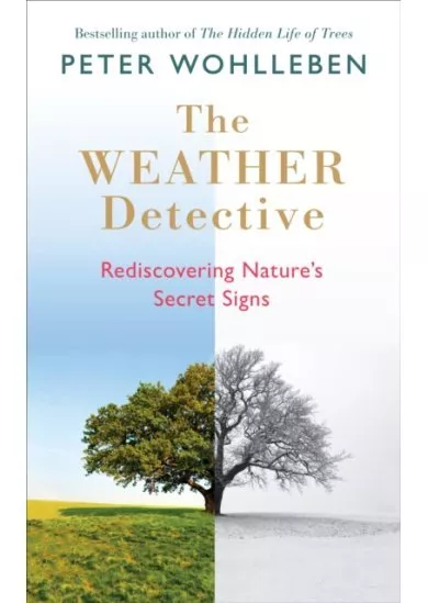 The Weather Detective