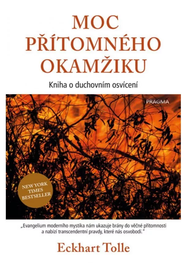 Eckhart Tolle - Moc přítomného okamžiku - 2.vydání