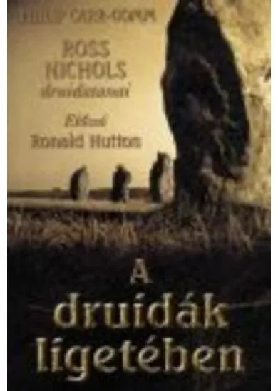 A DRUIDÁK LIGETÉBEN