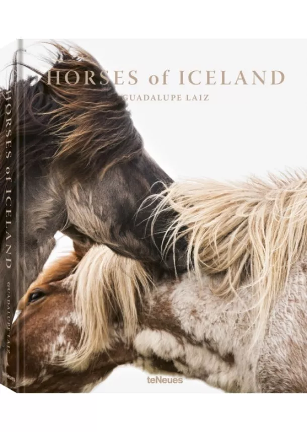 Guadalupe Laiz - Horses of Iceland
