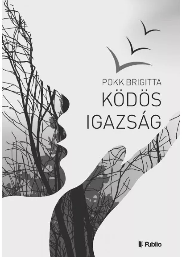 Pokk Brigitta - Ködös igazság