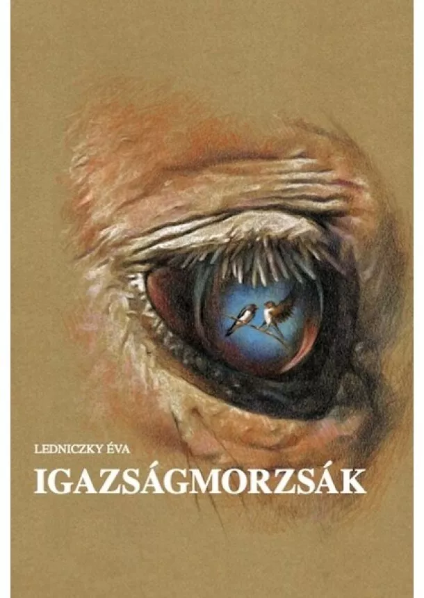 Ledniczky Éva - Igazságmorzsák