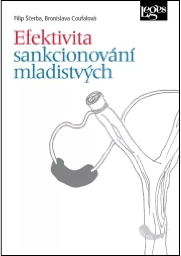 Filip Ščerba, Bronislava Coufalová - Efektivita sankcionování mladistvých