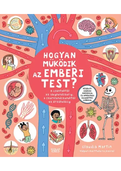 Hogyan működik az emberi test? - A csontoktól az idegrendszerig, a szervrendszerektől az érzékelésig
