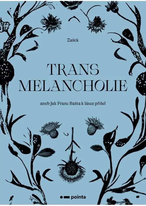 Zašek - Transmelancholie