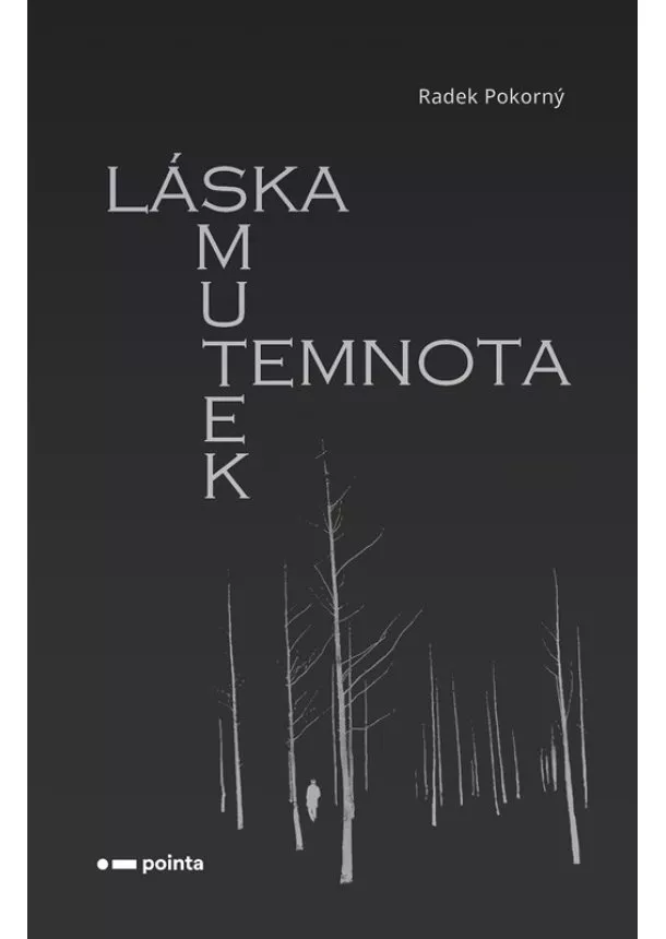Radek Pokorný - Láska, smutek, temnota