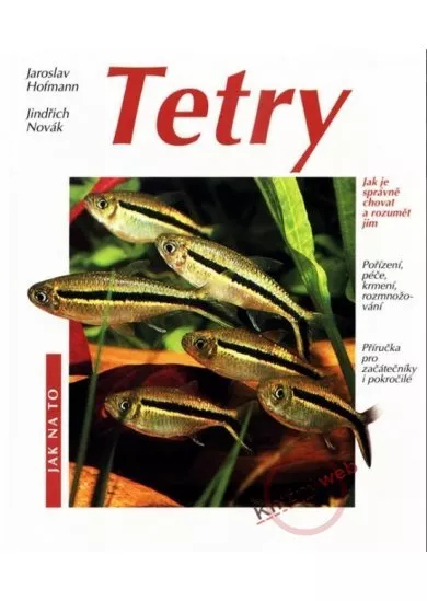 Tetry - Jak na to
