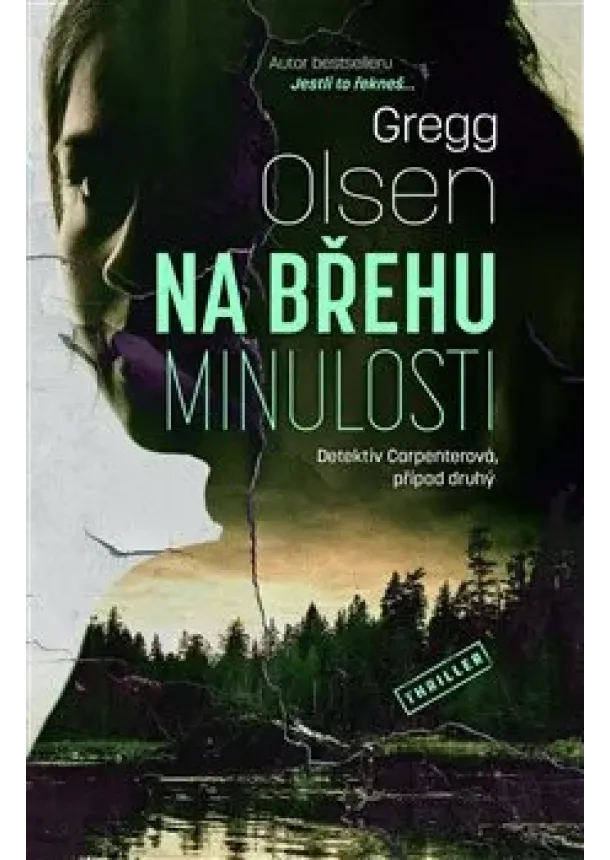 Gregg Olsen - Na břehu minulosti