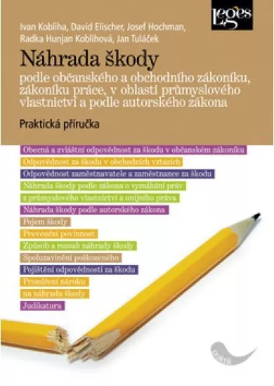 Náhrada škody - podle občanského a obchodního zákoníku, zákoníku práce, v oblasti průmyslového vlastnictví a podle autorského zákona