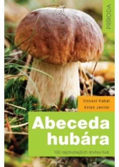 Abeceda hubára