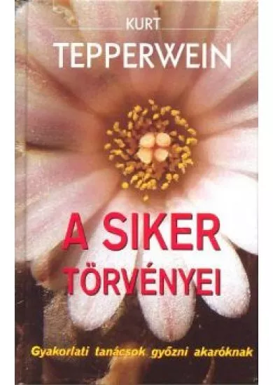 A SIKER TÖRVÉNYEI
