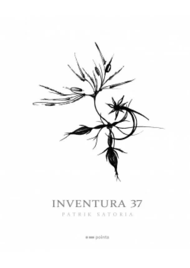 Patrik Satoria - Inventura 37