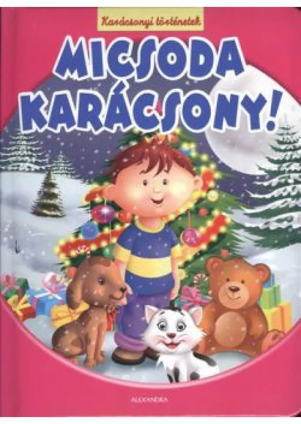 Mesekönyv - MICSODA KARÁCSONY! /KARÁCSONYI TÖRTÉNETEK §K
