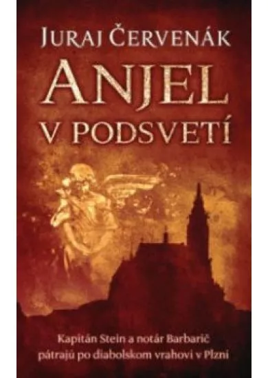 Anjel v podsvetí (Barbarič a Stein 7)