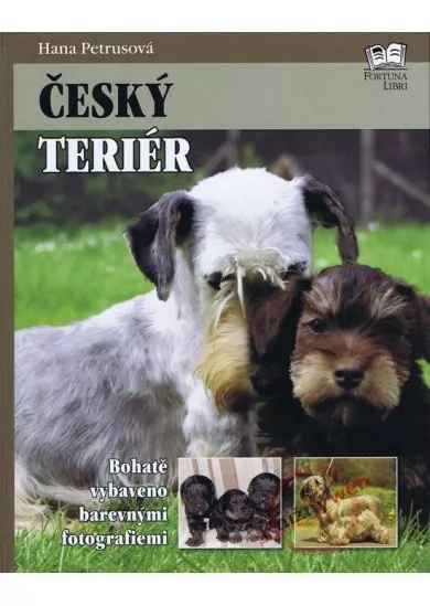 Český teriér