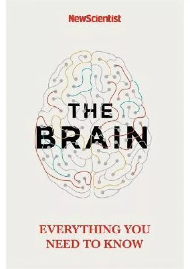 New Scientist - The Brain