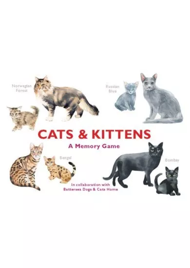 Cats & Kittens