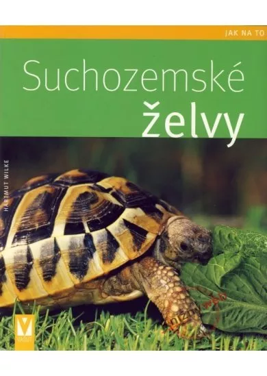 Suchozemské želvy - jak na to