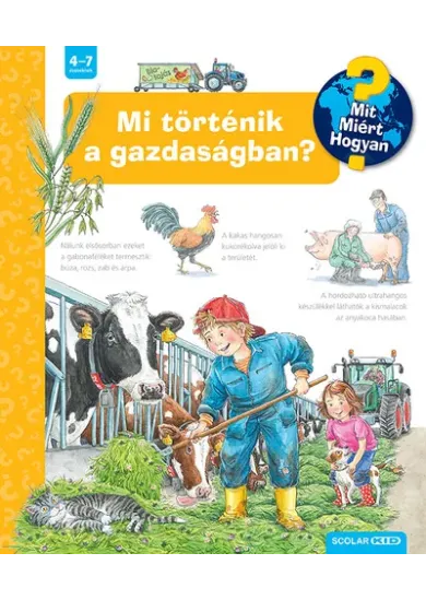 Mi történik a gazdaságban? - Mit? Miért? Hogyan? 66.