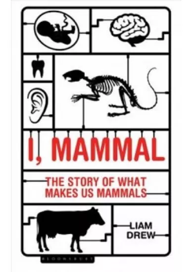I, Mammal : The Story of What Makes Us Mammals