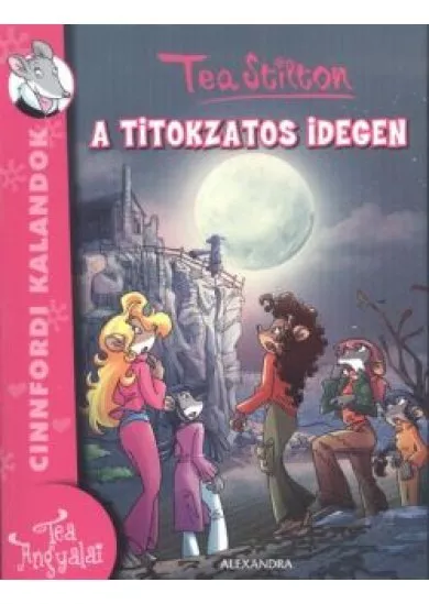 A TITOKZATOS IDEGEN