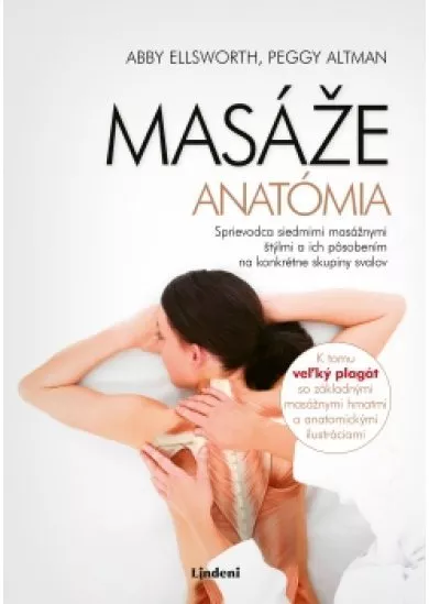 Masáže - anatómia
