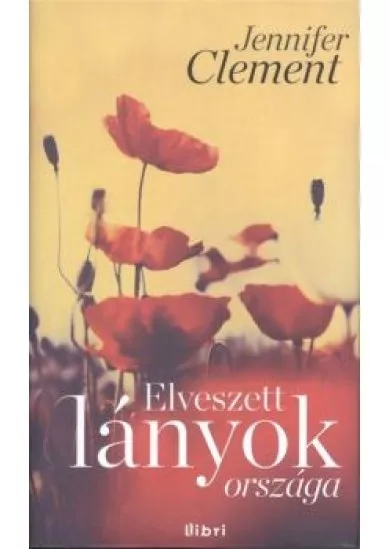 ELVESZETT LÁNYOK ORSZÁGA
