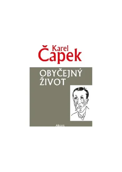 Obyčejný život