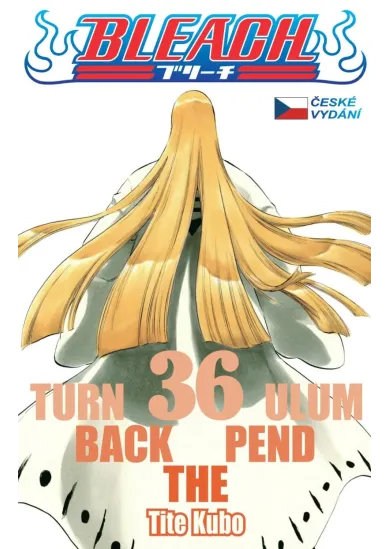 Bleach 36: Turn Back The Pendulum