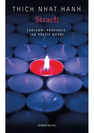 Strach. Základní průvodce, jak přežít bouři