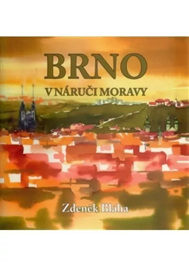 Brno v náruči Moravy